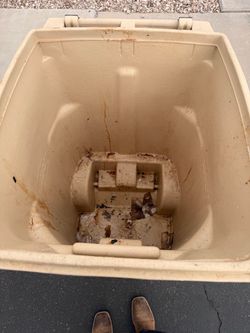 Trash Bin Cleaning!!