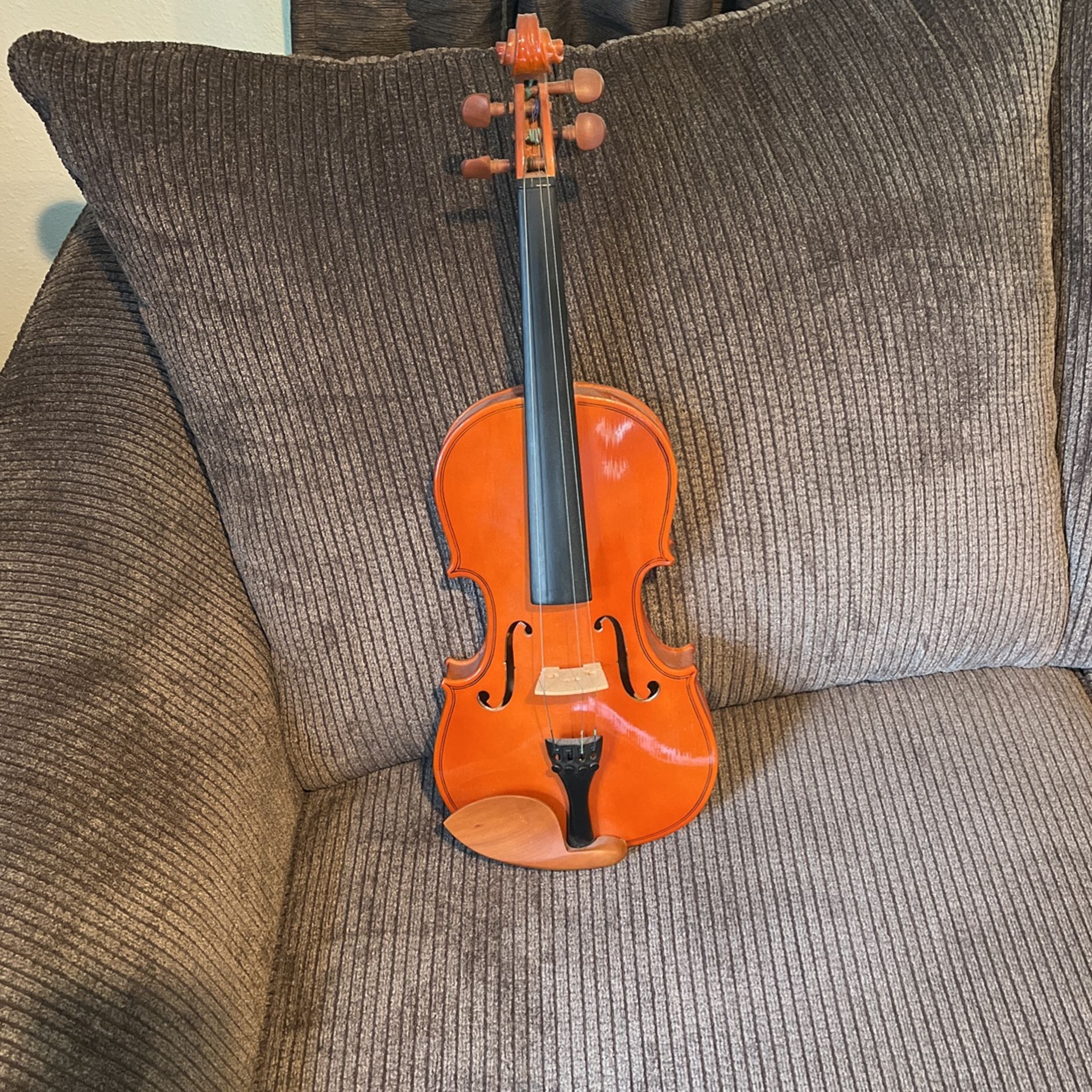 Violin