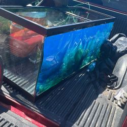 Fish Tank