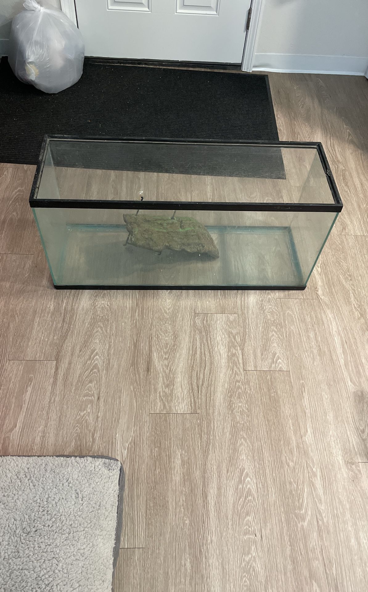 Giant Aquatic/Reptile Tank