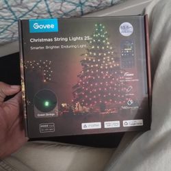 Govee Christmas String Lights 2S
