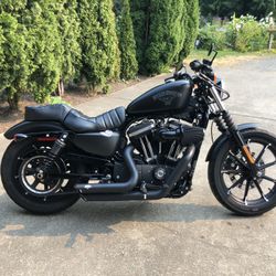 2017 Harley Iron 883
