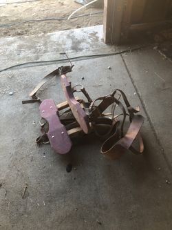 Horse equipment