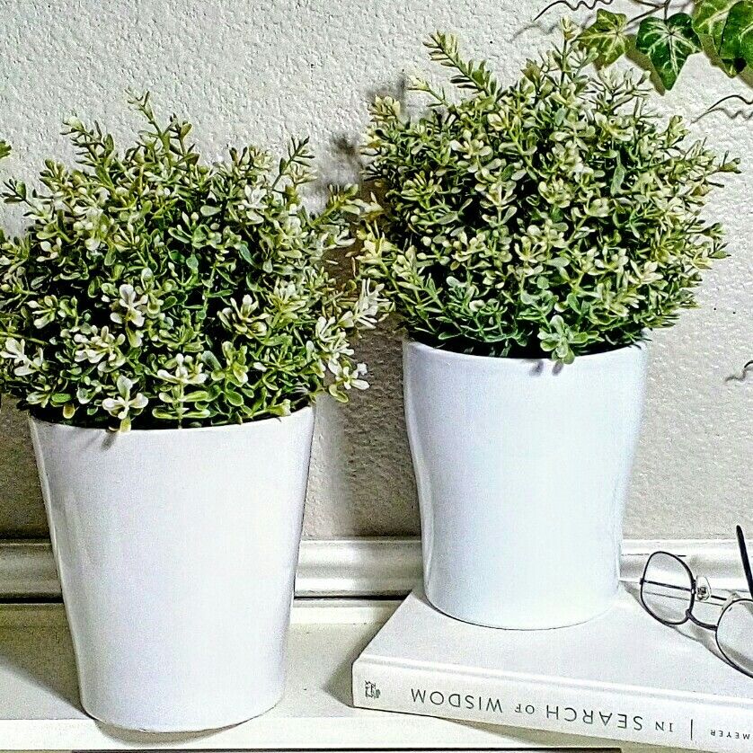 $15 for both Artificial Plants in Vases made of Real Ceramic, 11"x7 , CASH ONLY, PICKUP ONLY -home decor, fake plants, faux plants, flowers 