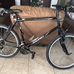 Raleigh Tully’s 2,0.     City. Bike.  21 Velocity 