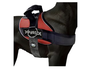 JoyRide Harness 2.0 No Choke,Escape Proof,Reflective,3 Leash Clips (LG)