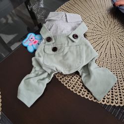 Pet outfit