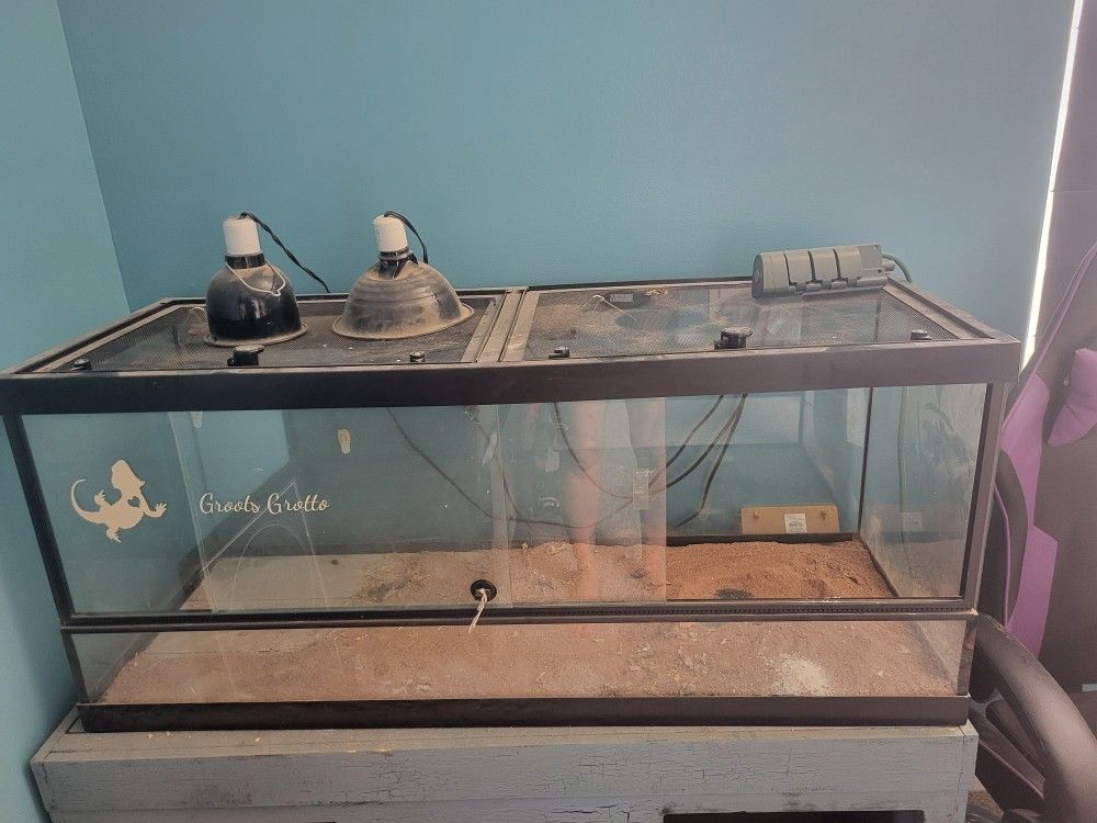 Reptile Enclosure & Accessories