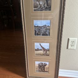 Framed Animal Print Wall Art Decor Elephant Giraffe Zebra Leopard Animal Safari Picture 