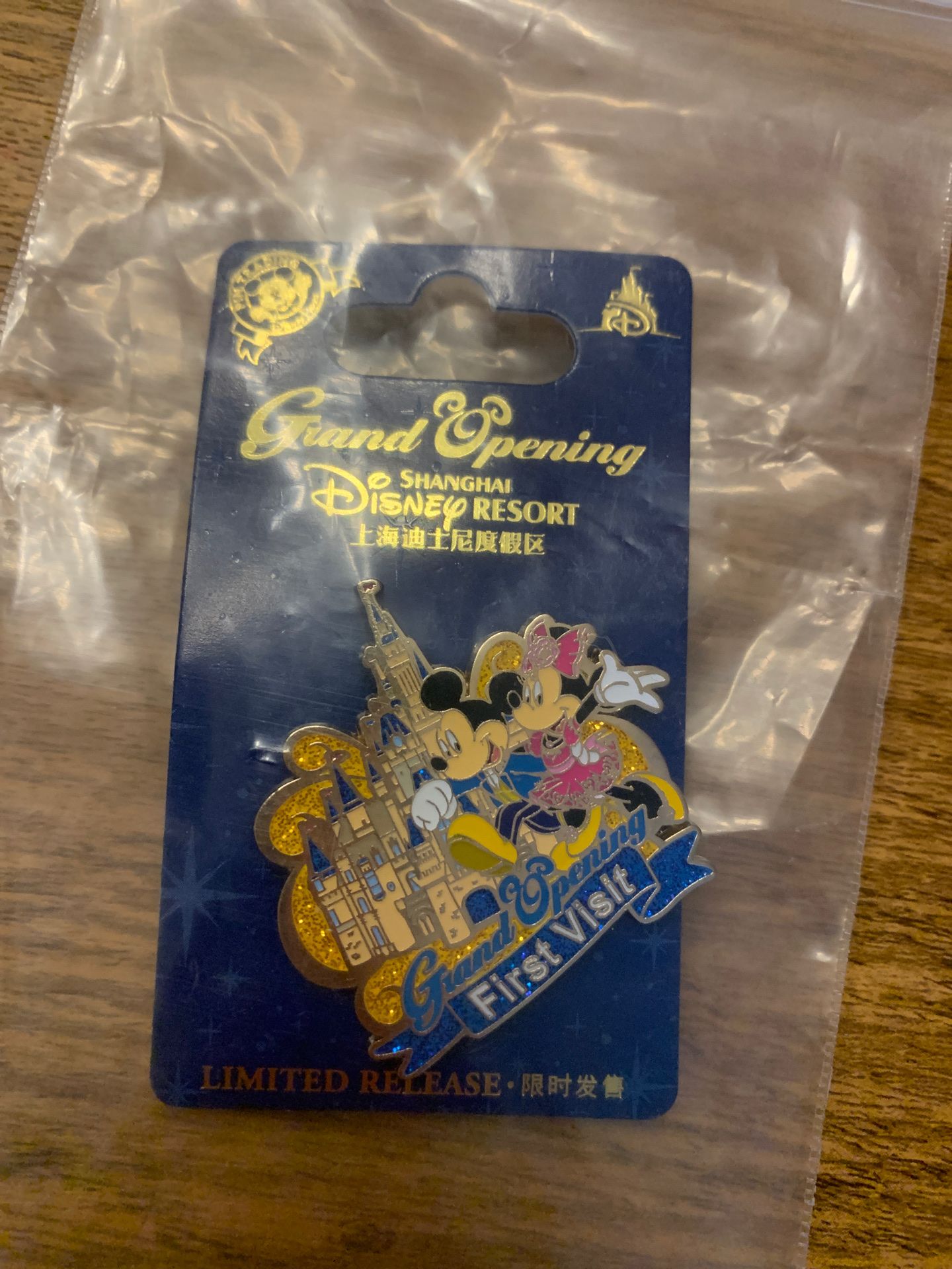 Grand opening first visit disney pin!