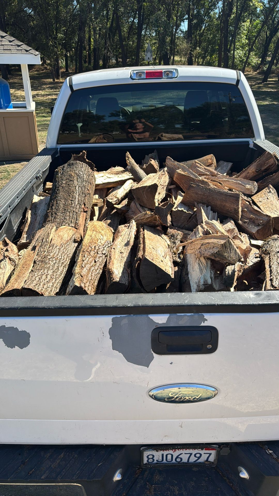 Seasoned Oak Firewood Split