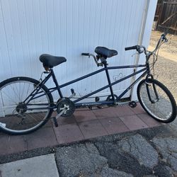 Double Dutch Bike 