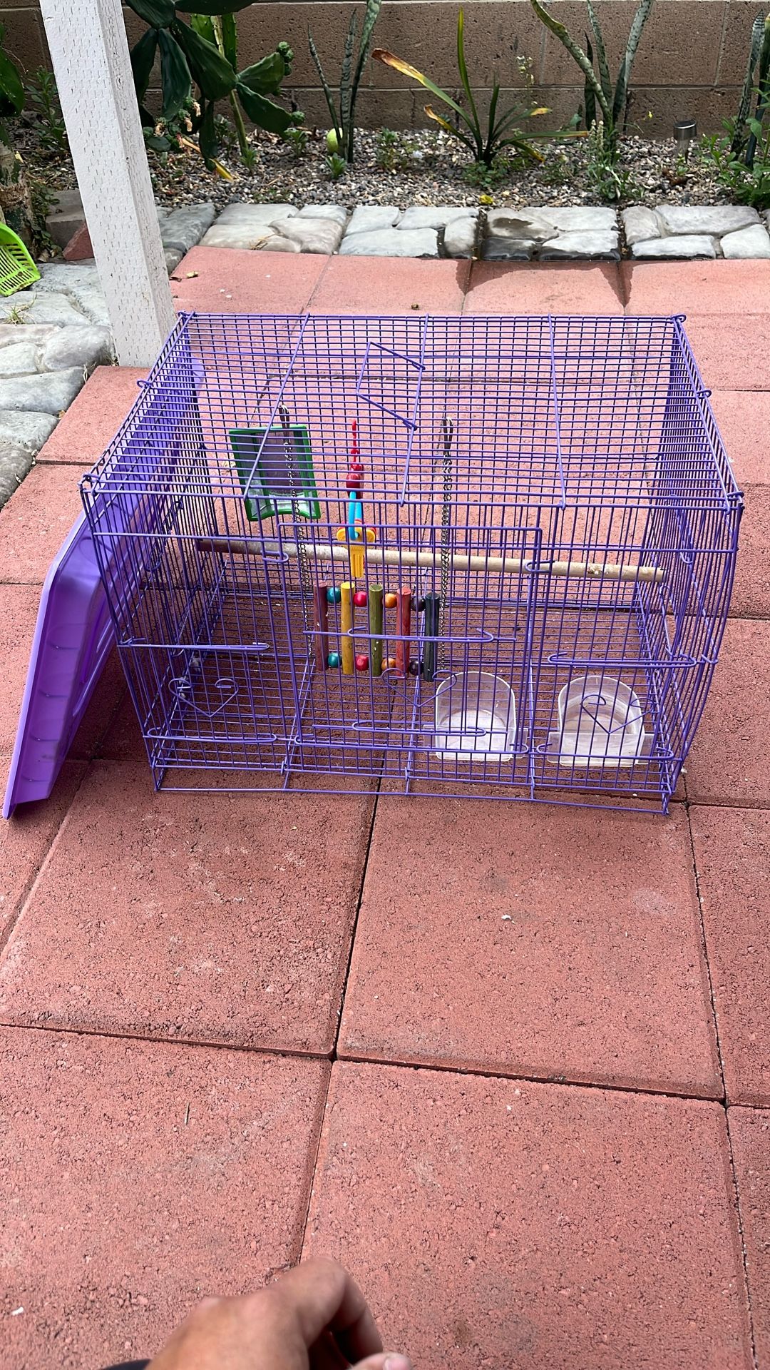 Bird Cage