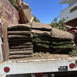 Fescue Sod  