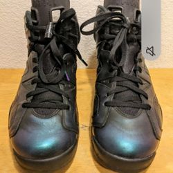 Jordan 6 Chameleon 