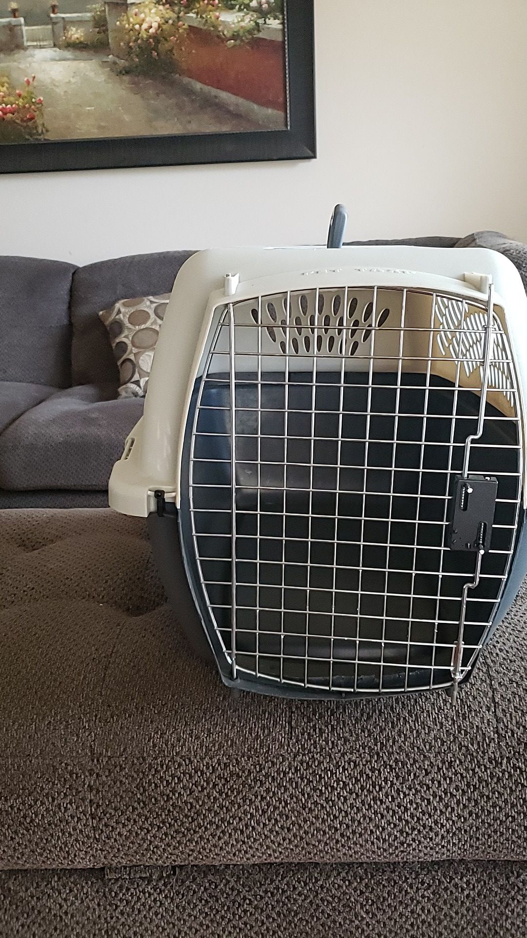 Medium size dog crate. 16 high, 16 wide, 25 inches long