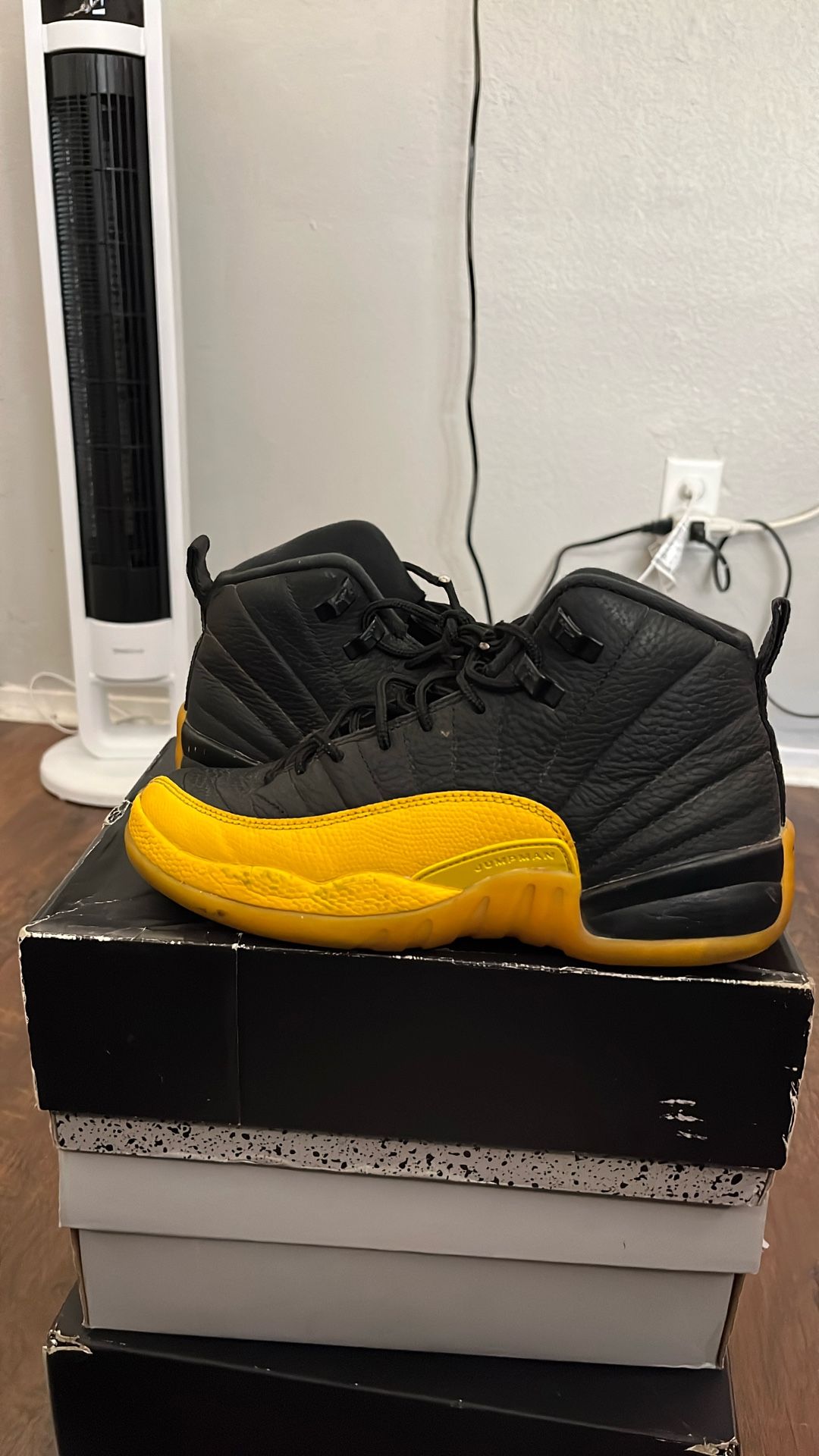 Jordan 12
