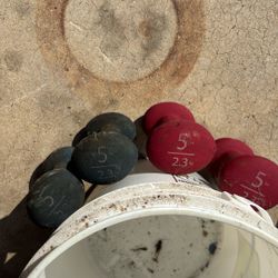 Four 5 Pound Weights 