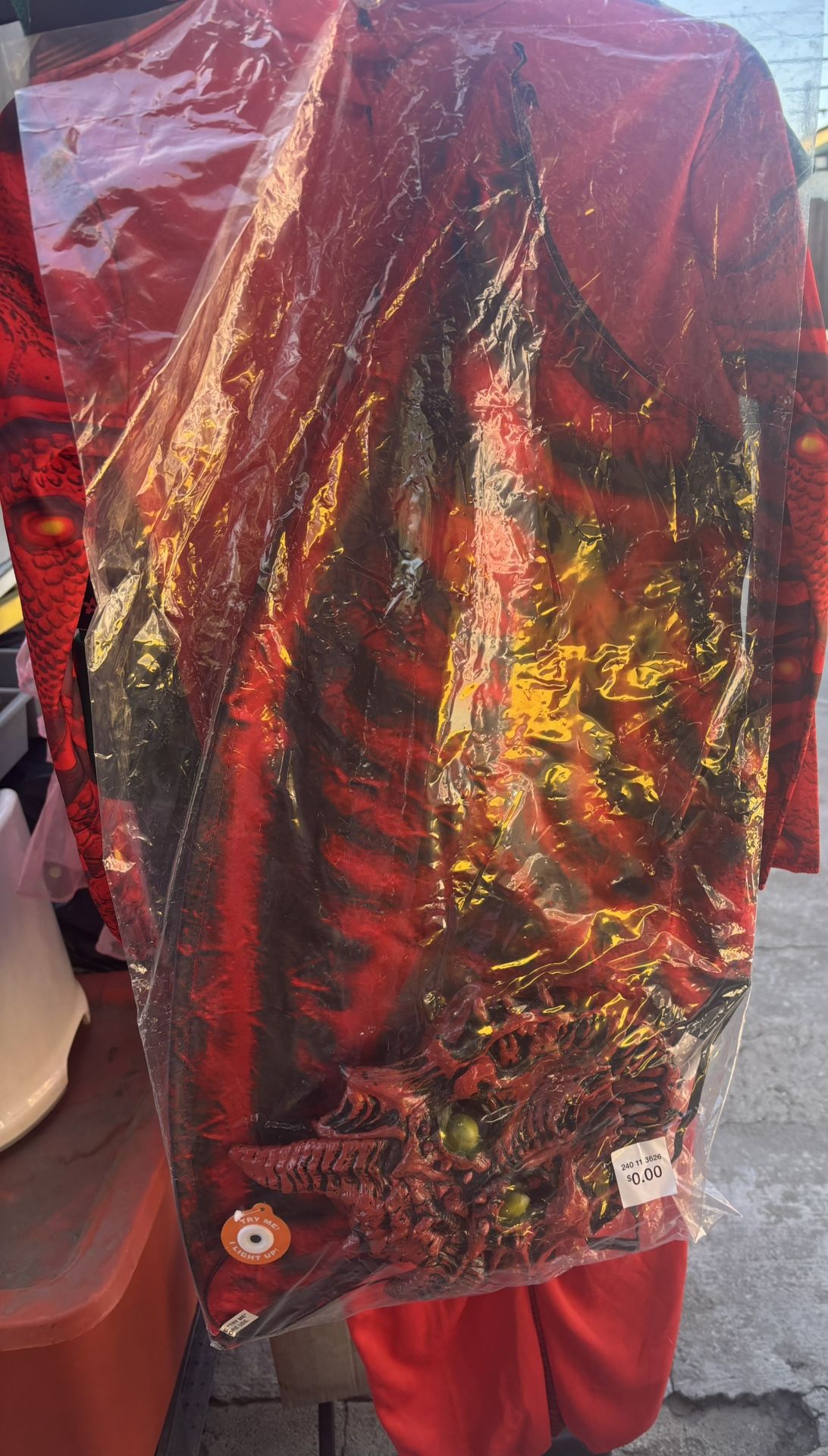 Halloween Costume 