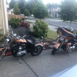 Two Harley Davidsons 105th Anniversary Edition!