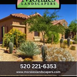 Affordable, Reliable And Professional Yard Clean Ups