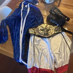 Adult Boxing Champion Of The World Costume 