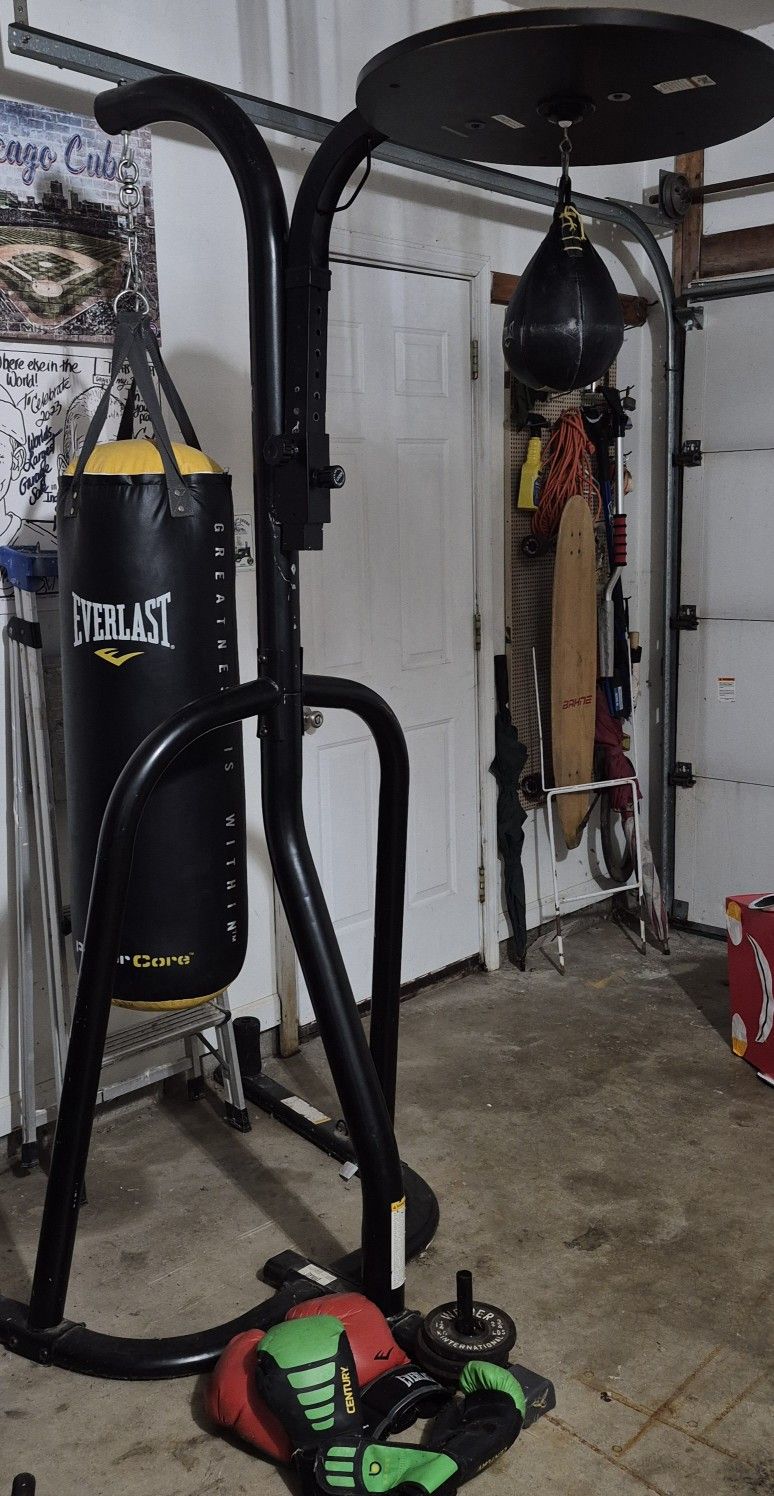Everlast Punching Bag Set