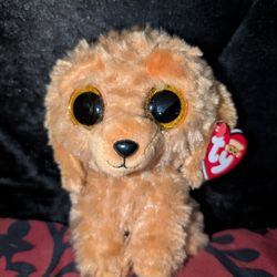 TY Beanie Boos "Noodles"