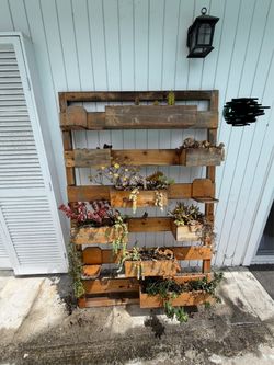 Succulent wall