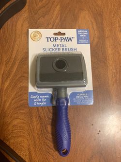 Dog brush, collar, and leather leash