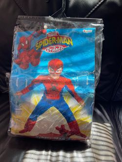 Spider-Man costume
