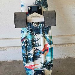 Stskeboard - Penny Australia