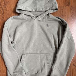 Abercrombie & Fitch Kids Essential Icon Hoodie