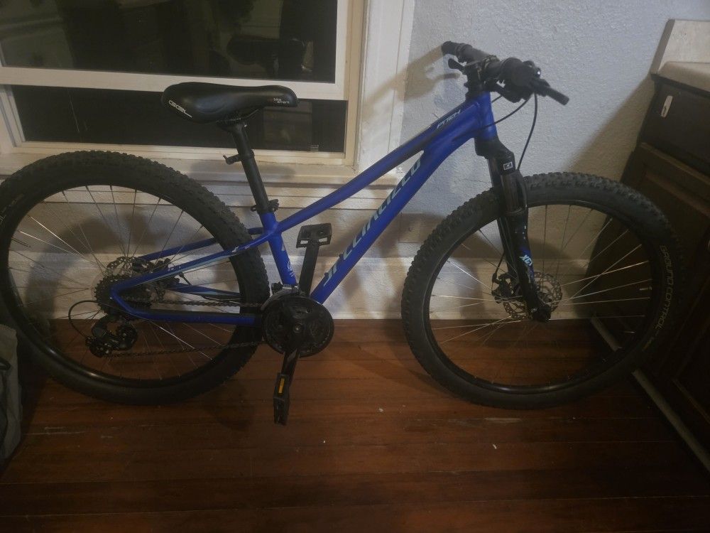 Specialized Pitch Women's Bicycle Xs Frame