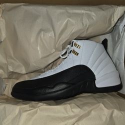 Air Jordan 12 Retro TAXIS