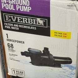 In Ground Pool Pump