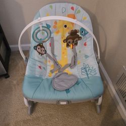 Baby Bouncer/chair