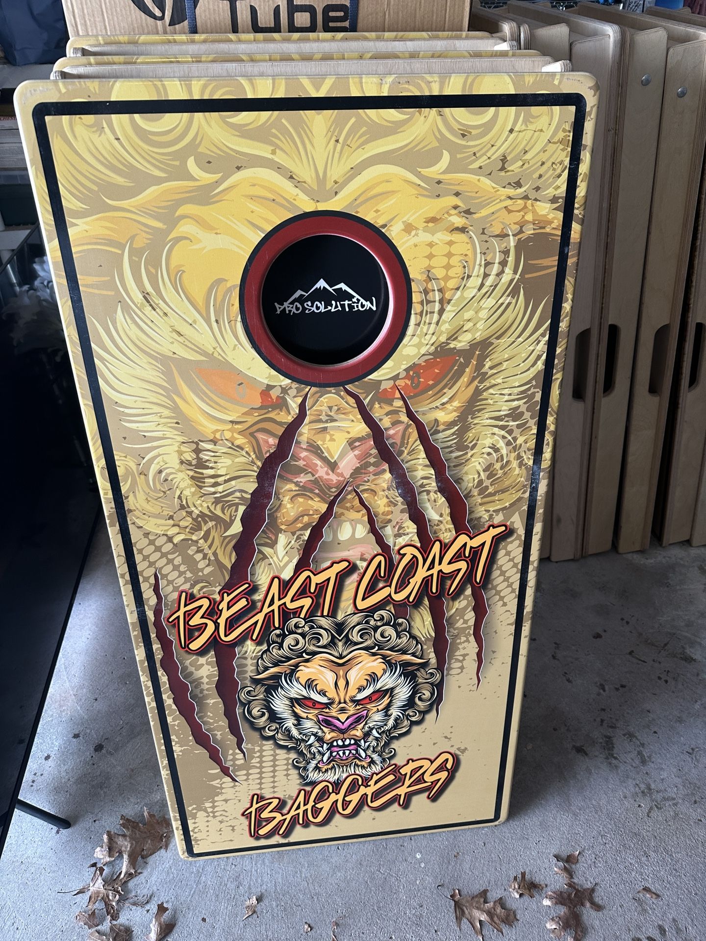 Corn Hole Boards
