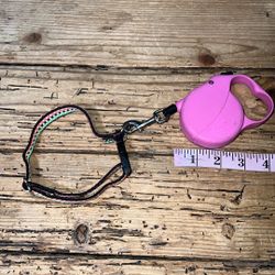 Mini Pink Flexi Retractable Leash With Collar 