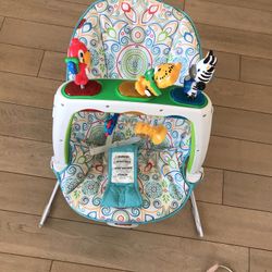 Fisher Price Baby Bouncer Like New