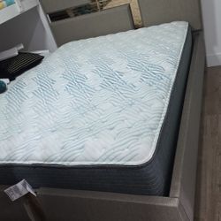 Modern Bed