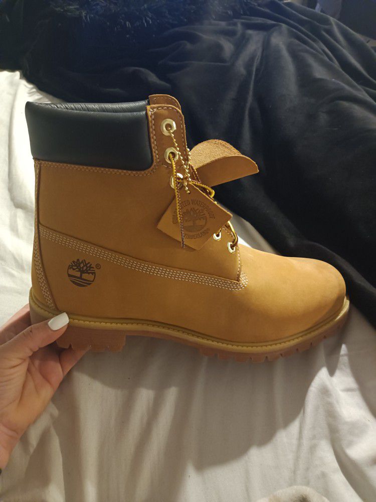 Size 12 Men's Timberland Boots