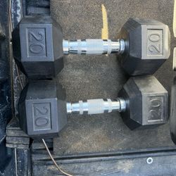 20 Lbs Dumbbells 