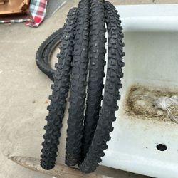 Autumn Bike Tires