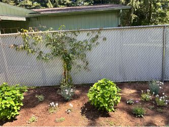 Chain link fence slats