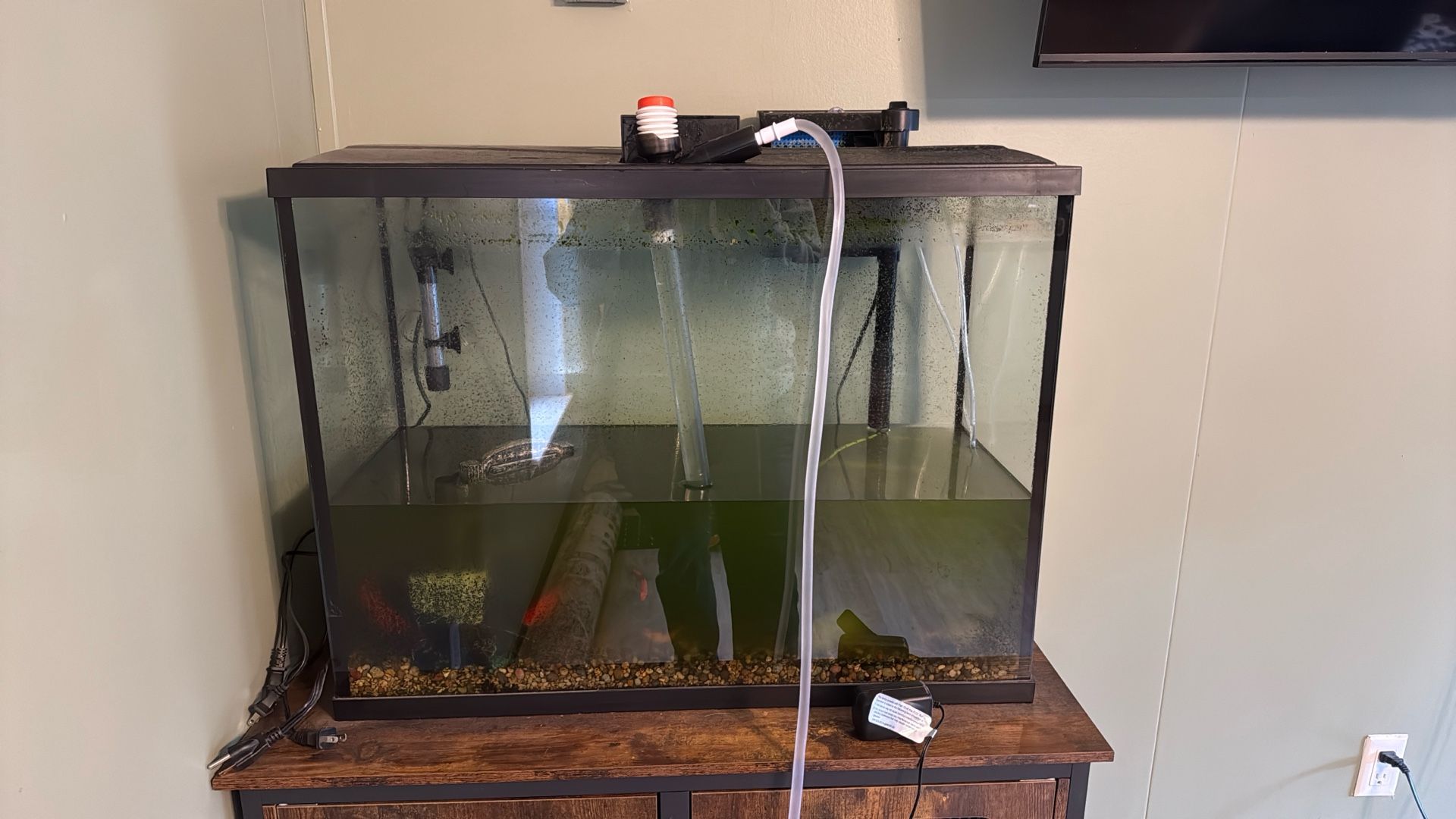 Fish Tank And Supplies