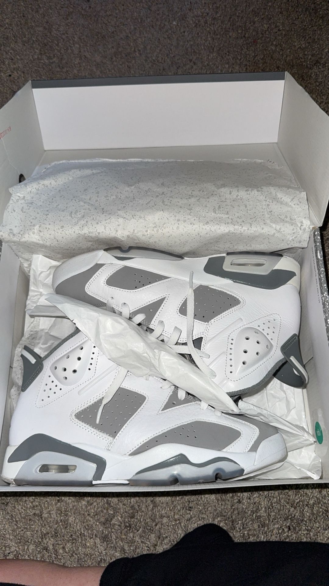Jordan 6s