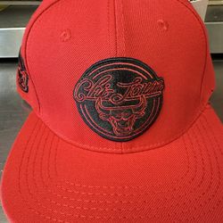 Mens Bulls Hat