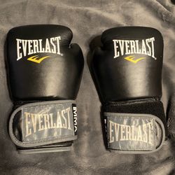 Everlast Gloves 