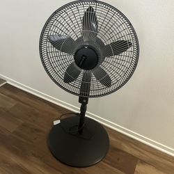 Fan